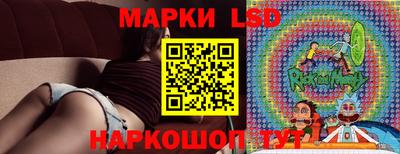 гидропоника Пугачёв