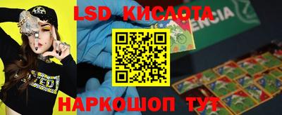 гидропоника Пугачёв