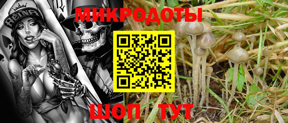 Галлюциногенные грибы мицелий  Вход с VPN  Тихвин 